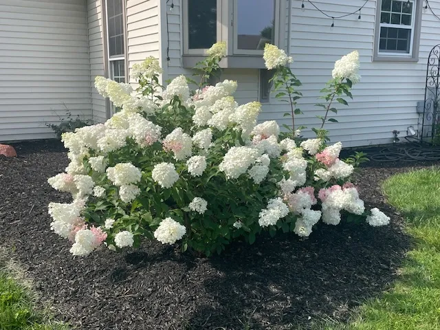 $585,000 | 953 Cordova Court, Wheaton, IL 60189