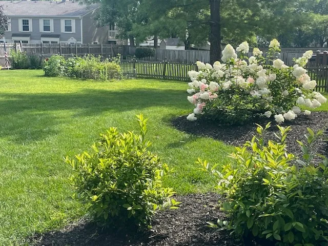 $585,000 | 953 Cordova Court, Wheaton, IL 60189