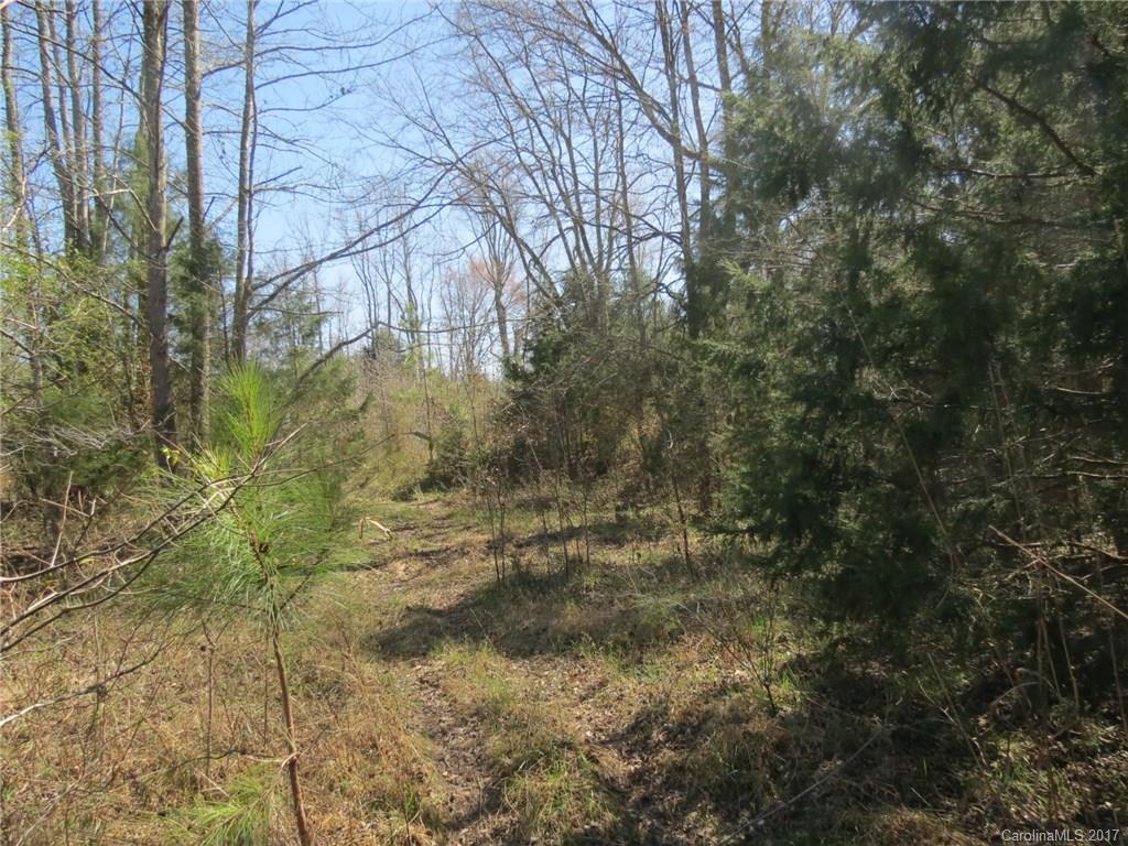 3.5-ac 3.5-ac Old Mill Road Richburg, SC 29729 - Photo 1 of 10