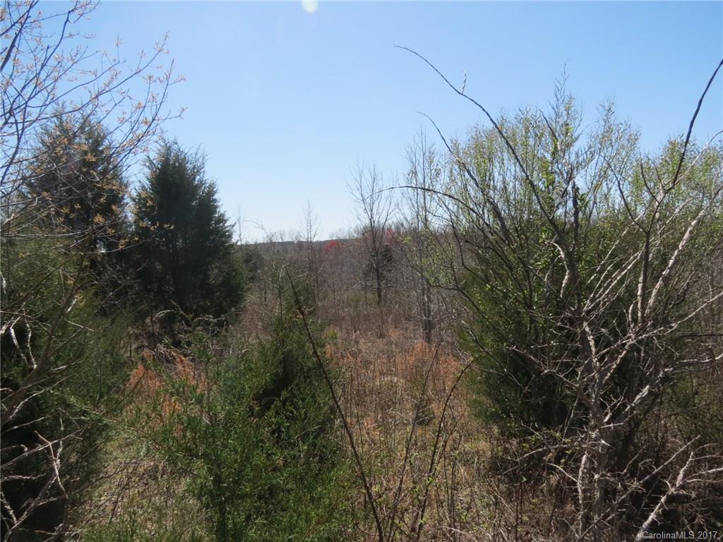 3.5-ac 3.5-ac Old Mill Road Richburg, SC 29729 - Photo 3 of 10