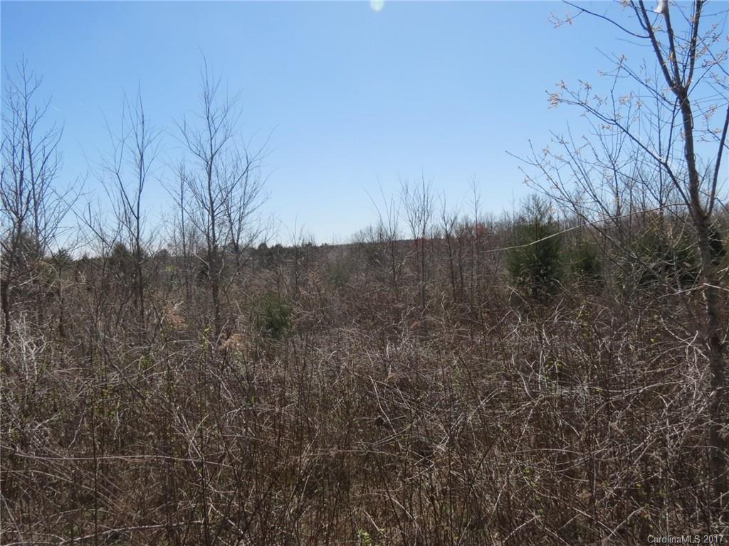 3.5-ac 3.5-ac Old Mill Road Richburg, SC 29729 - Photo 4 of 10