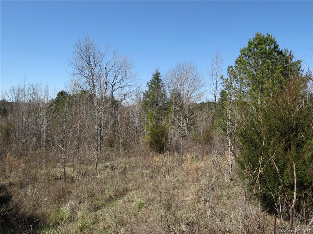3.5-ac 3.5-ac Old Mill Road Richburg, SC 29729 - Photo 5 of 10