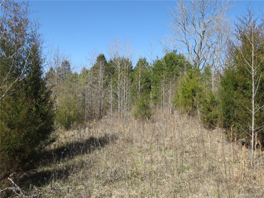 3.5-ac 3.5-ac Old Mill Road Richburg, SC 29729 - Photo 6 of 10