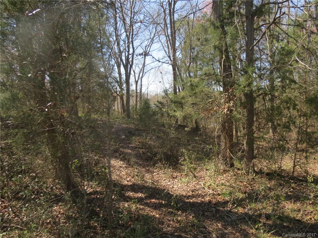 3.5-ac 3.5-ac Old Mill Road Richburg, SC 29729 - Photo 7 of 10