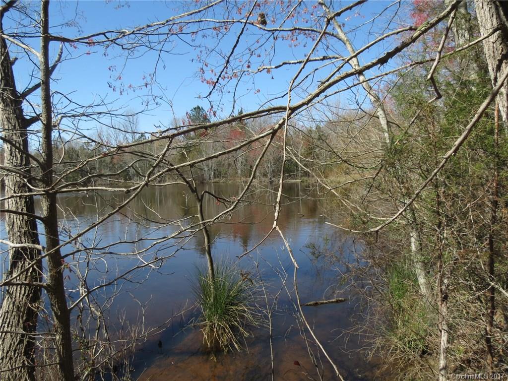 3.5-ac 3.5-ac Old Mill Road Richburg, SC 29729 - Photo 8 of 10