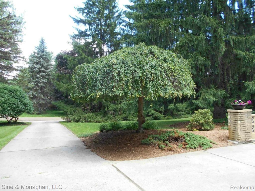 1127 Kingsview Avenue Rochester, MI 48309 - Photo 2 of 24 View towards street