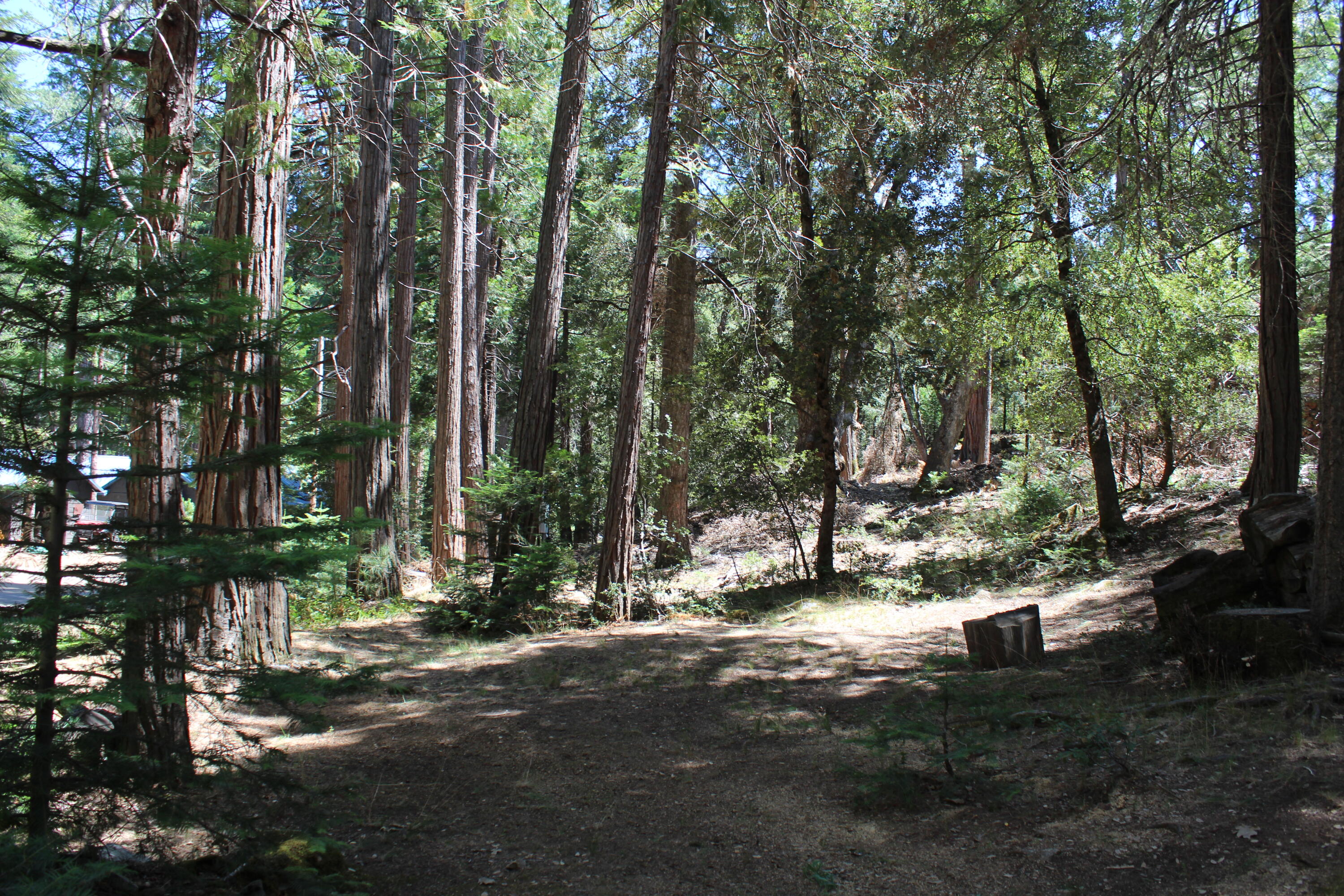 565 Trail End Drive Springville, CA 93265 - Photo 44 of 58 IMG_9595