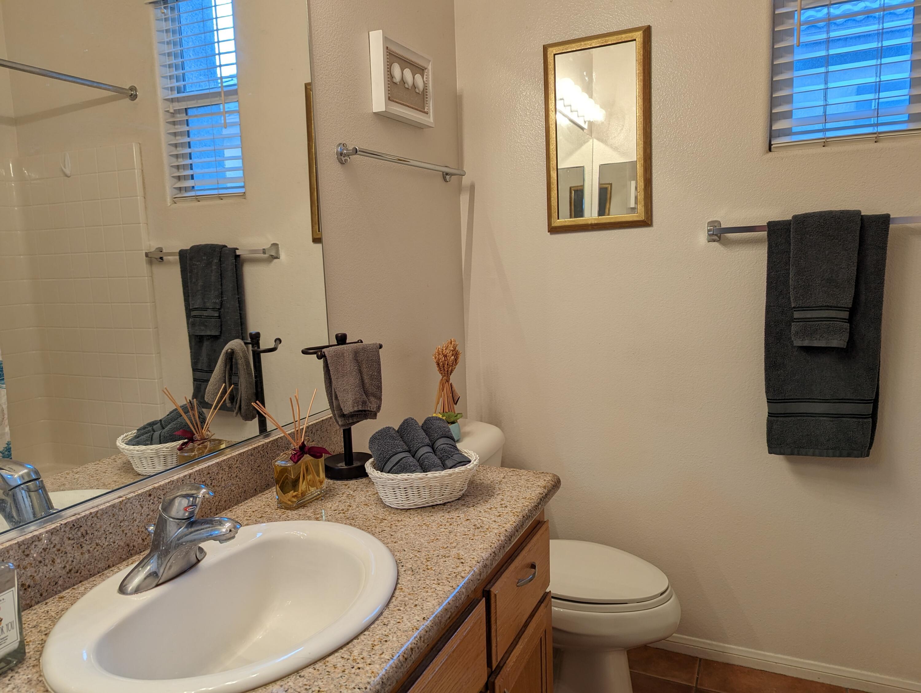 49544 Wayne Street Indio, CA 92201 - Photo 51 of 69 a bathroom with a toilet sink and mirror