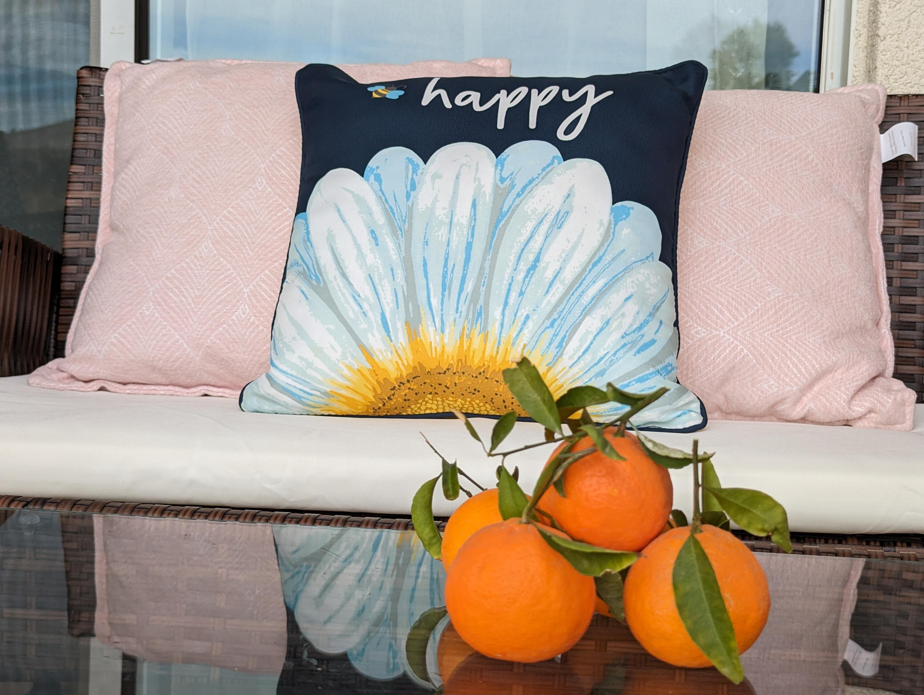 49544 Wayne Street Indio, CA 92201 - Photo 55 of 69 PXL_20221226_205227811