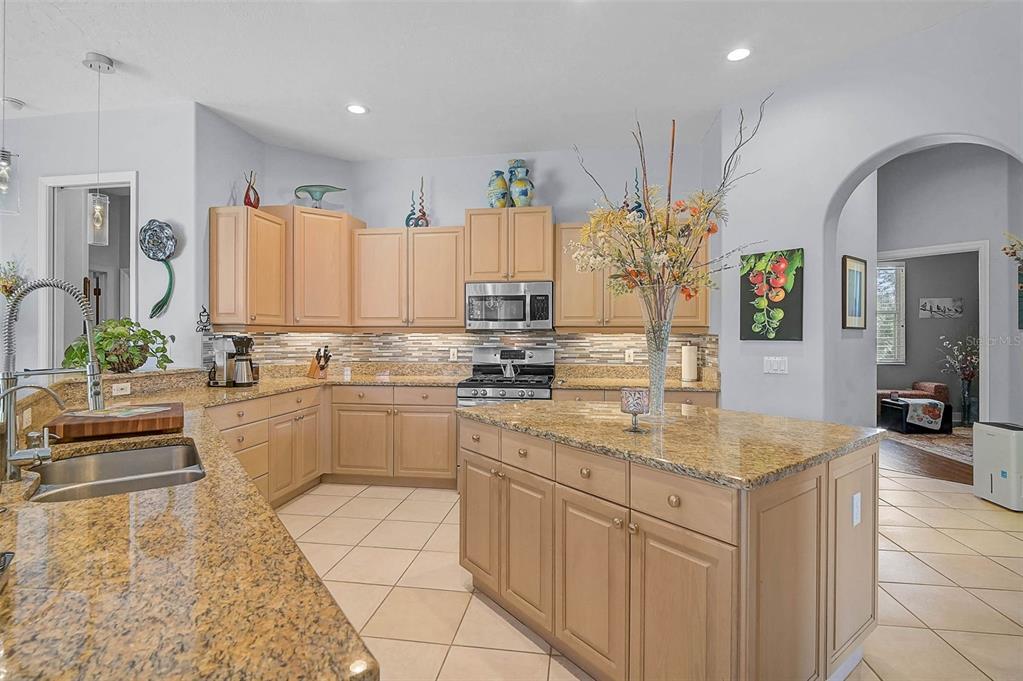 919 Tranquility Circle Osprey, FL 34229 - Photo 32 of 61