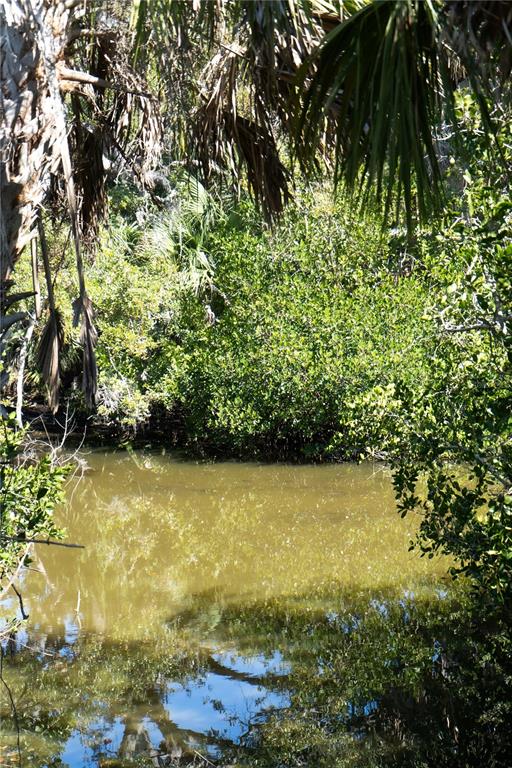 919 Tranquility Circle Osprey, FL 34229 - Photo 50 of 61