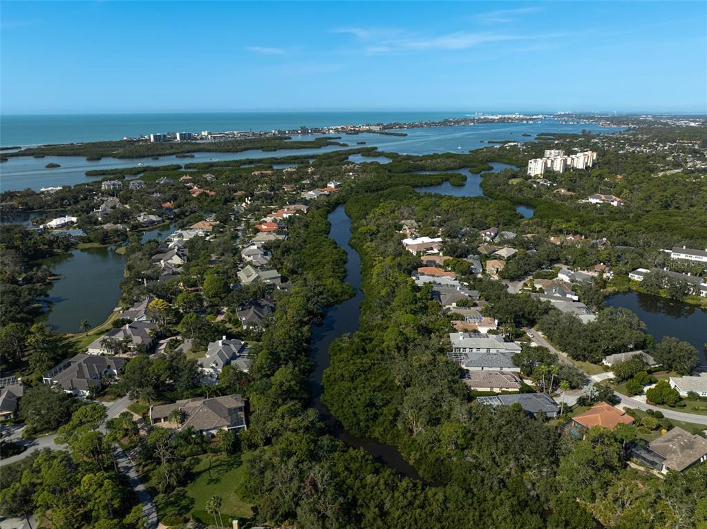 919 Tranquility Circle Osprey, FL 34229 - Photo 55 of 61