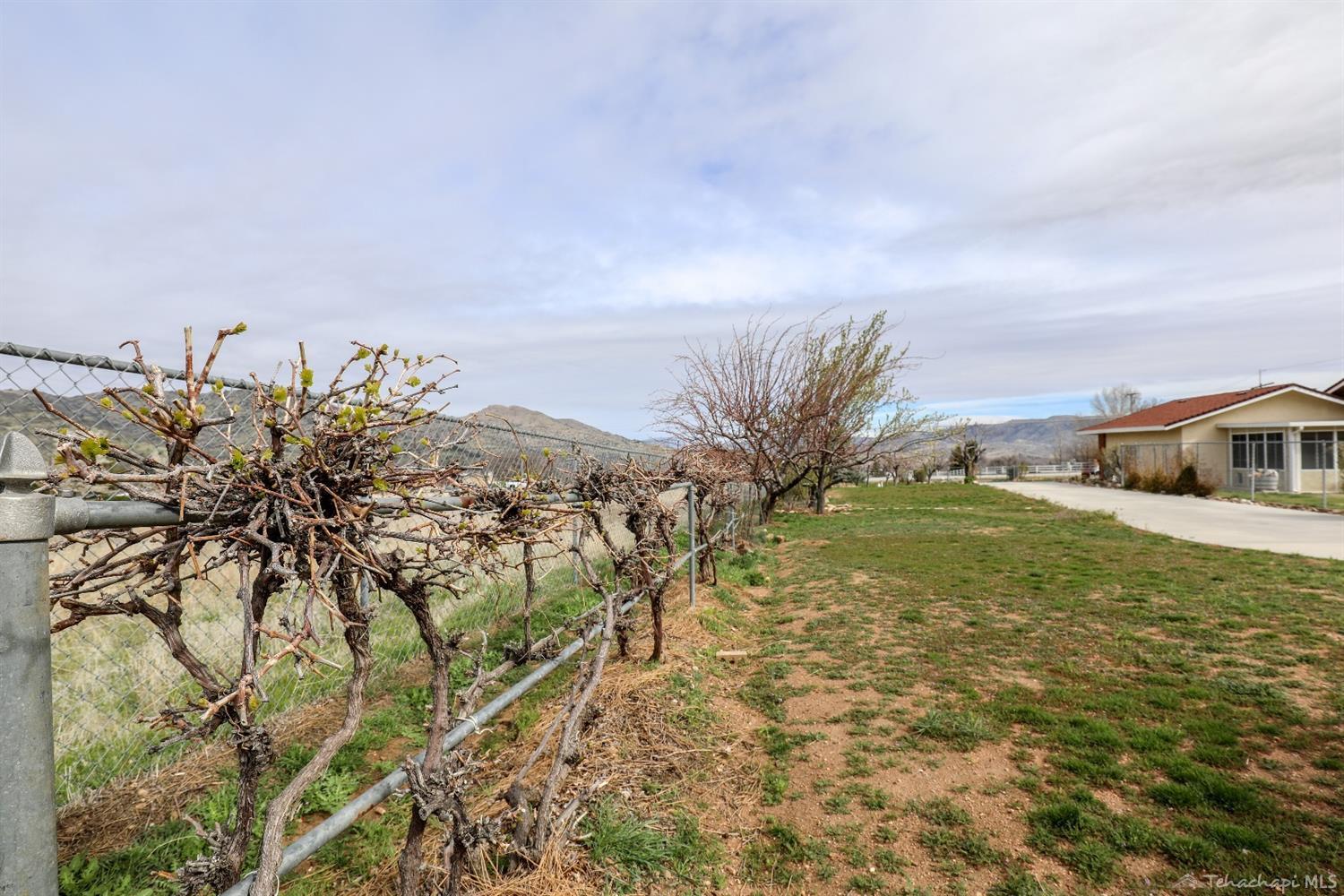 20836 Schout Road Tehachapi, CA 93561 - Photo 44 of 59 loads of mature tress and shrubs