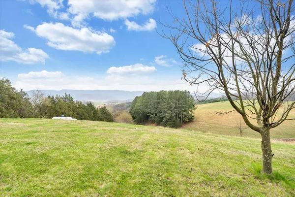 $380,000 | 1905 Mt Joy Road, Buchanan, VA 24066