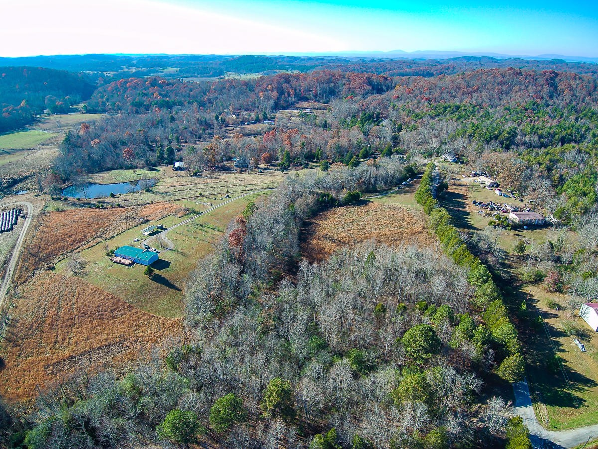 16003 Blue Springs Road Philadelphia, TN 37846 - Photo 6 of 10 Gallery Image 6