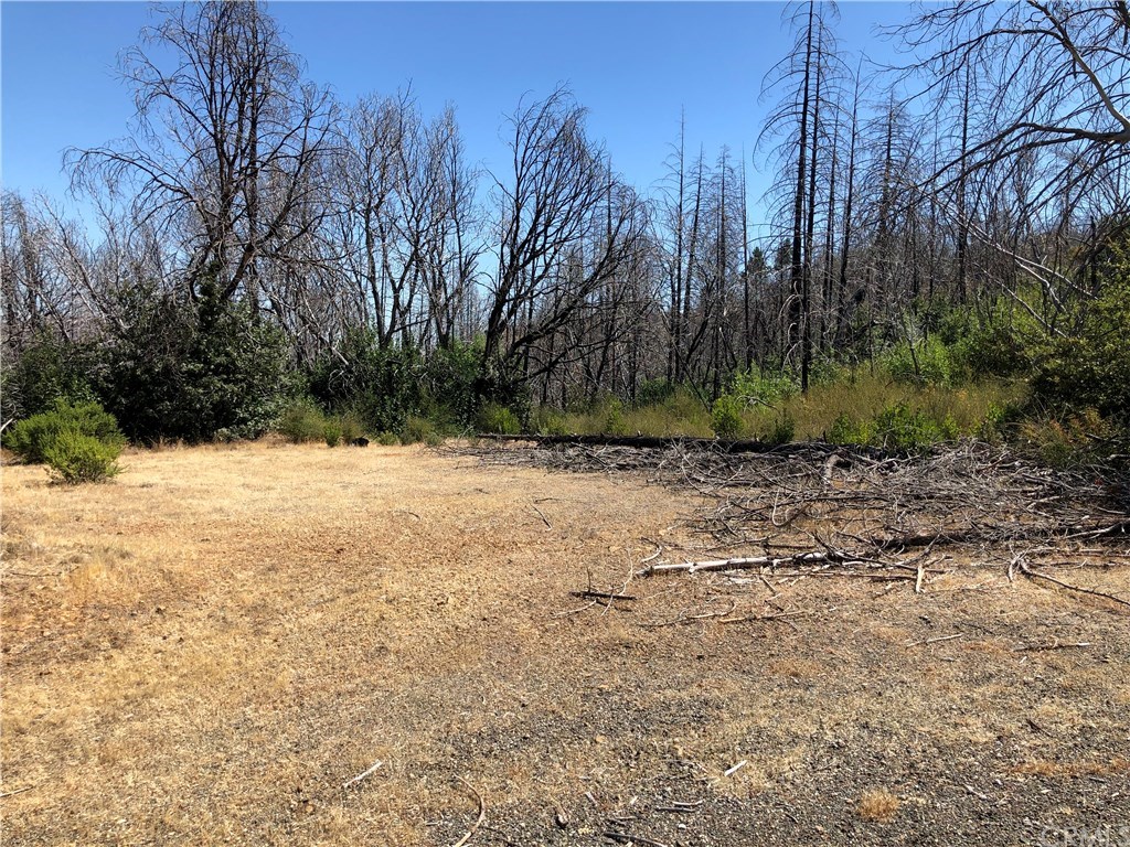 20500 Foard Road Middletown, CA 95461 - Photo 3 of 9