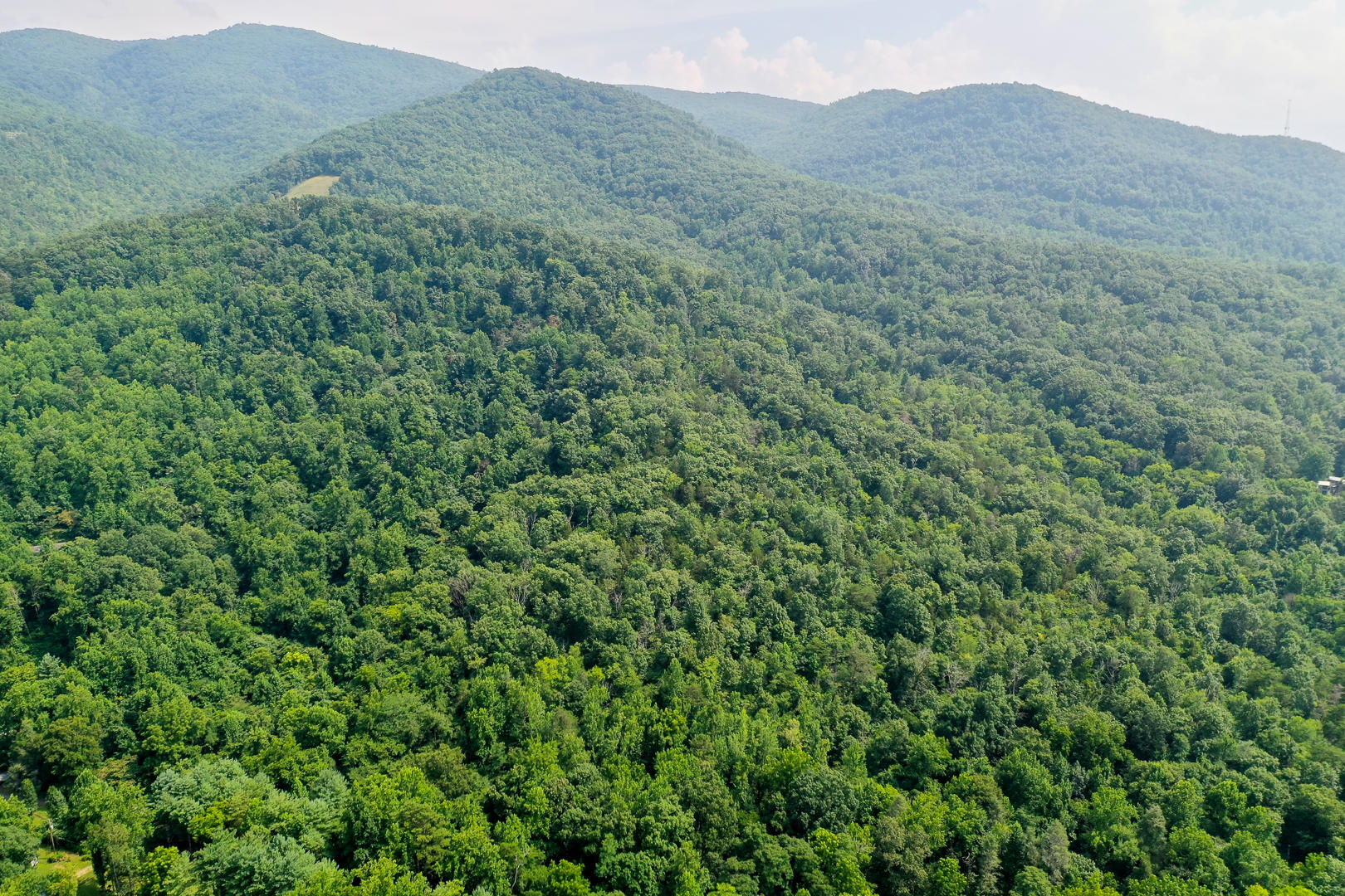 Chicken Hollow Road Newport, TN 37821 - Photo 1 of 5 DSC_6598-9