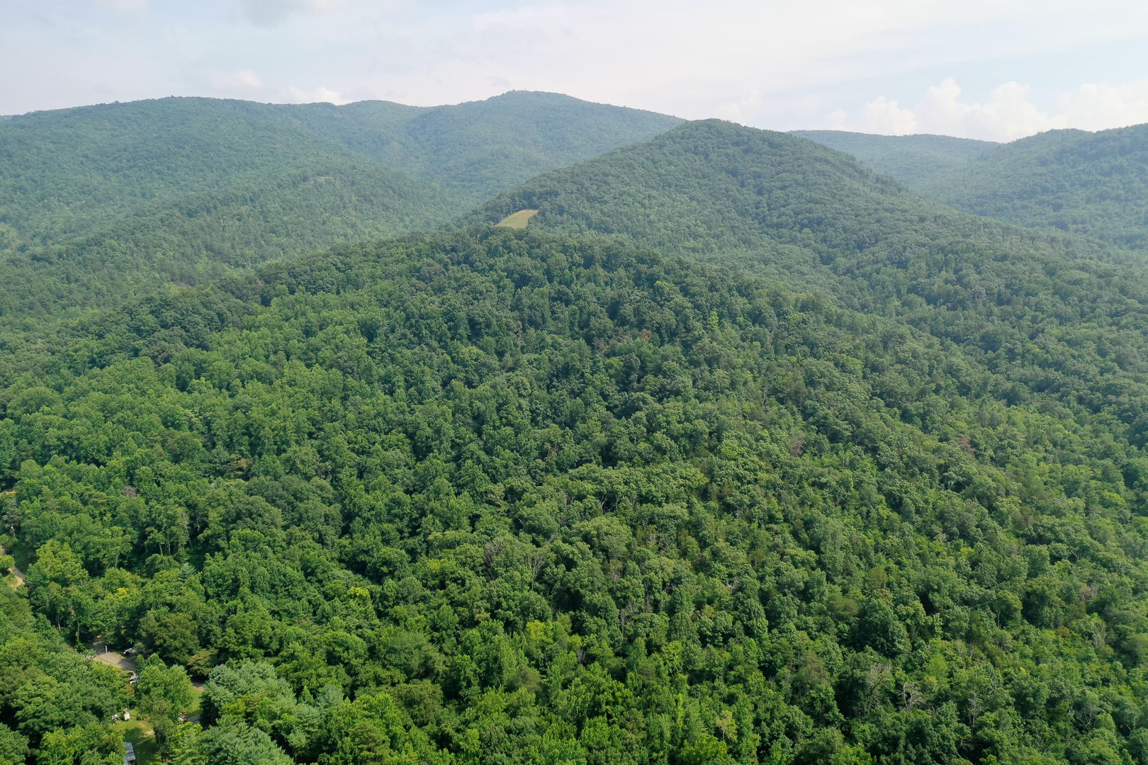 Chicken Hollow Road Newport, TN 37821 - Photo 2 of 5 DSC_6598-8