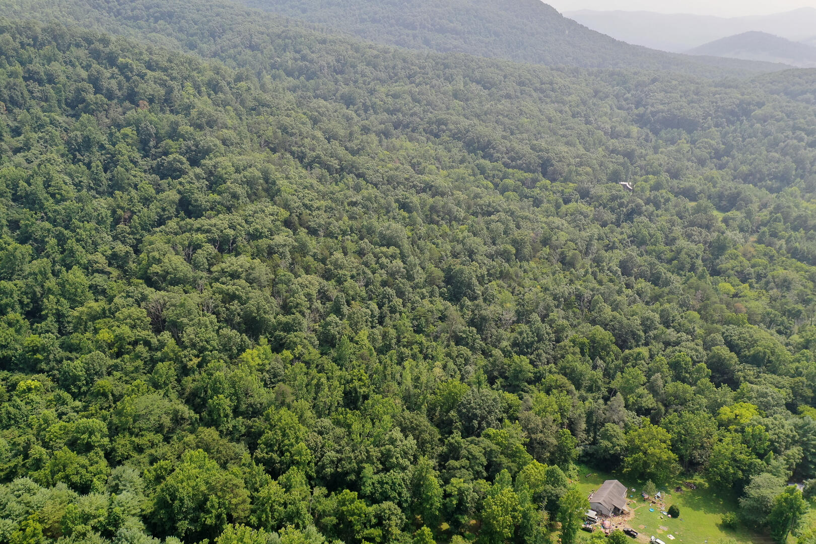 Chicken Hollow Road Newport, TN 37821 - Photo 3 of 5 DSC_6598-3