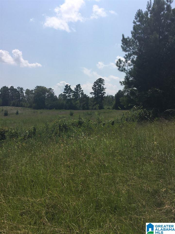 2007 Forest Glen Road, Unit 6 Sylacauga, AL 35150 - Photo 1 of 1