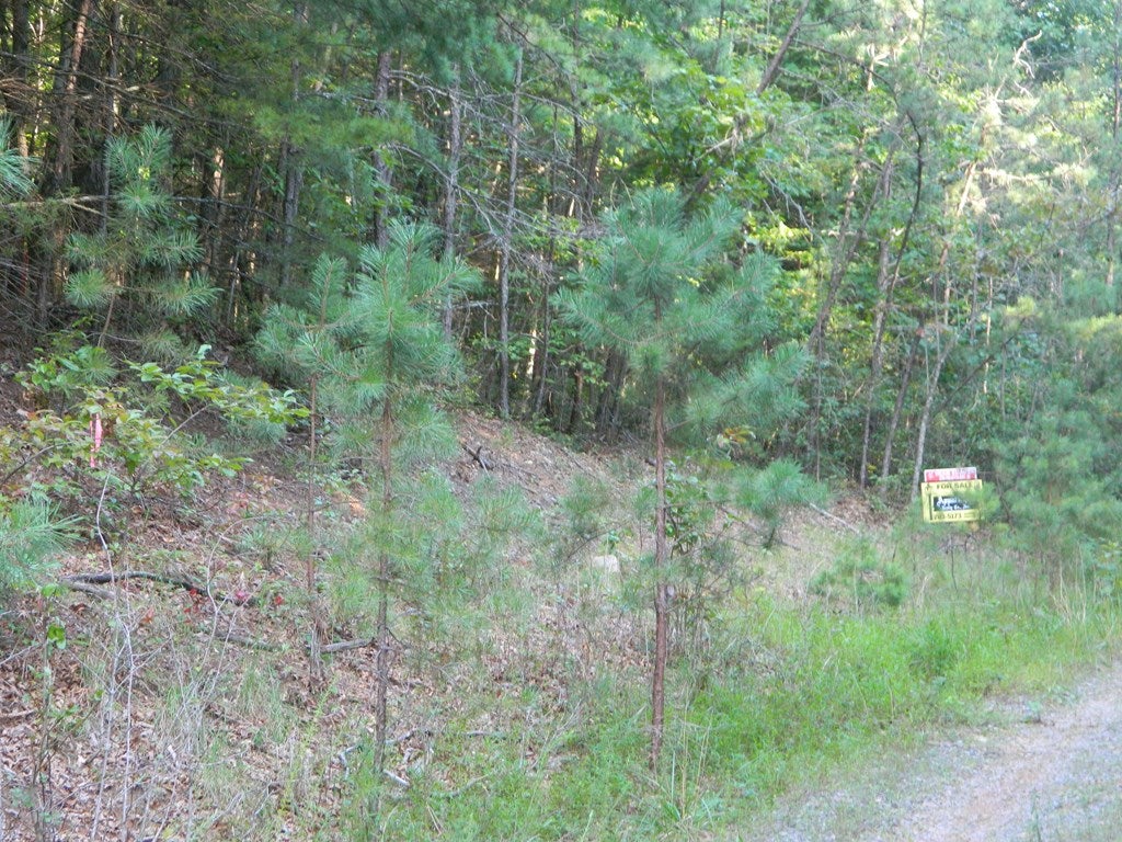 Tbd Pen Road, Unit 18 Chilhowie, VA 24319 - Photo 2 of 5 Gallery Image 2