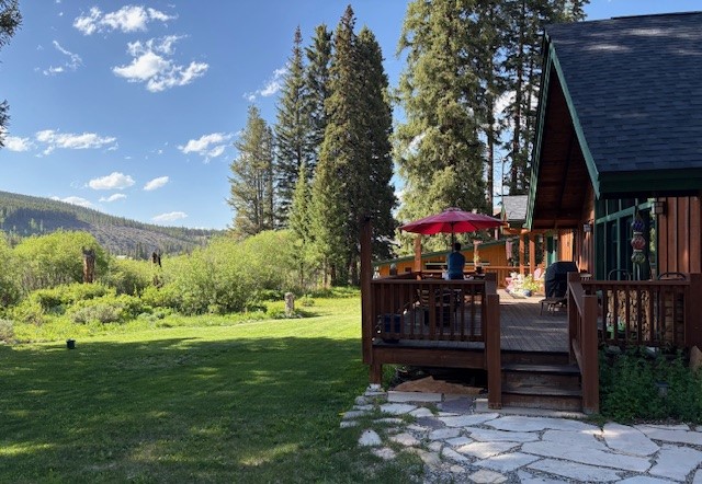 353 Blue River Road Blue River, CO 80424 - Photo 4 of 48