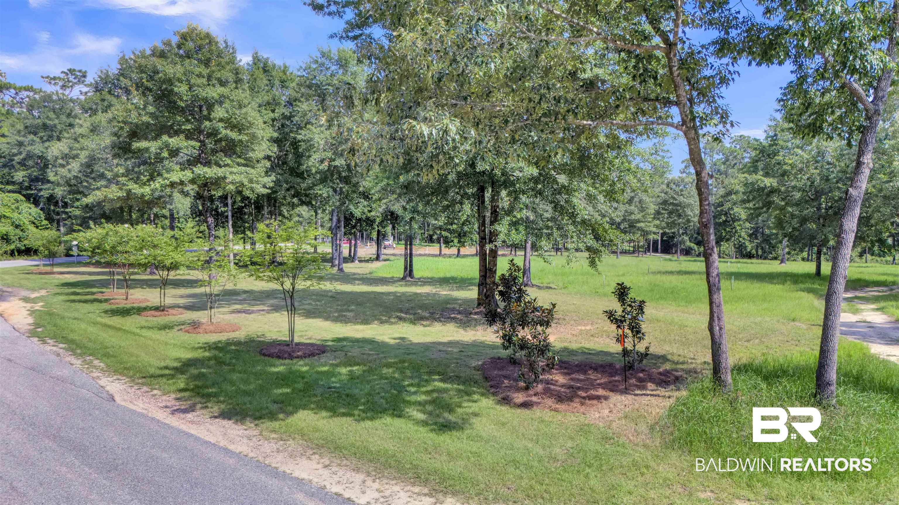 33579 Steelwood Ridge Road Loxley, AL 36551 - Photo 2 of 39 Front of Lot