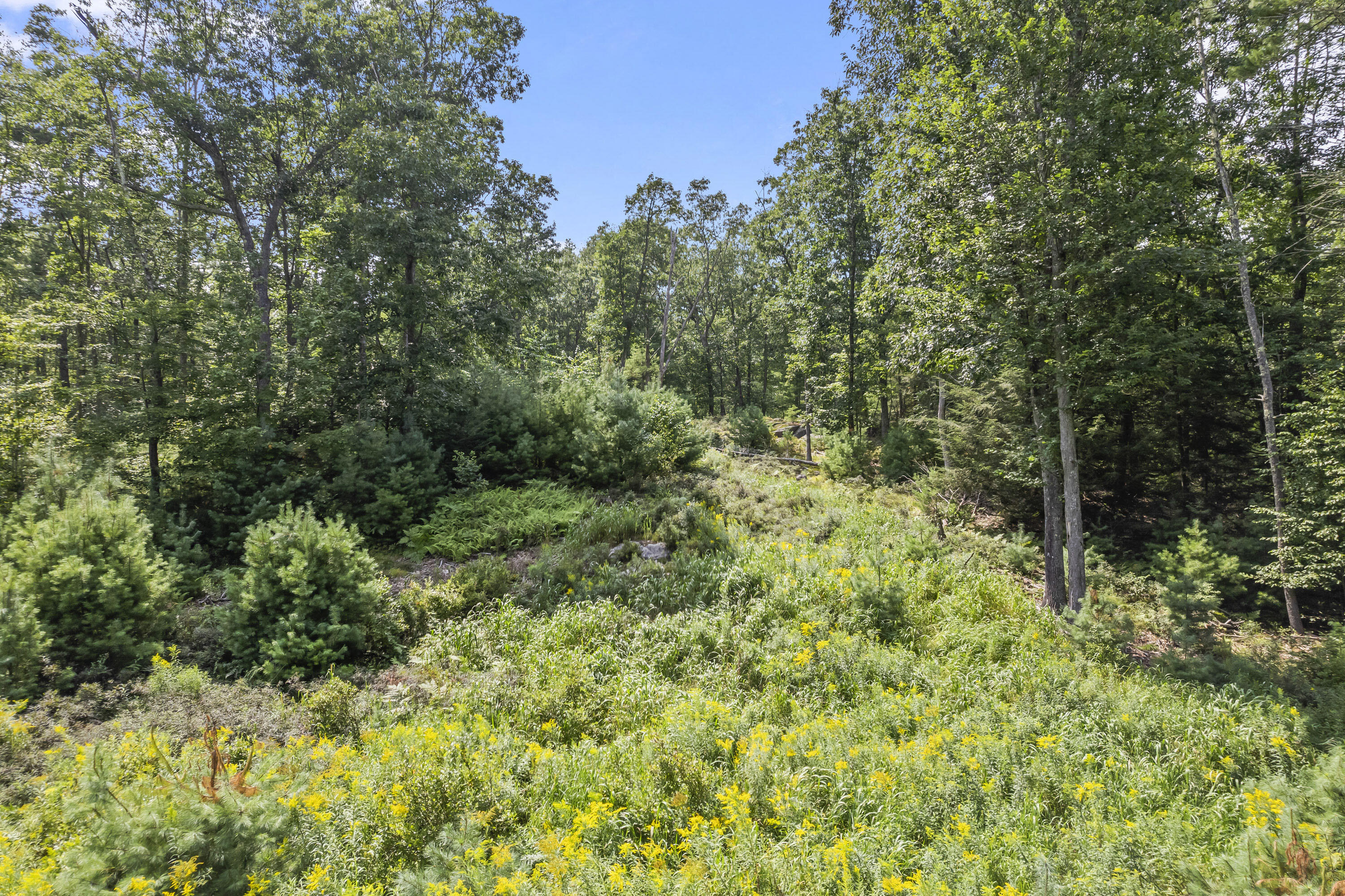 74 Witchtrot Road, Unit LOT 1 York, ME 03909 - Photo 6 of 14 74 Wichtrot Rd, York