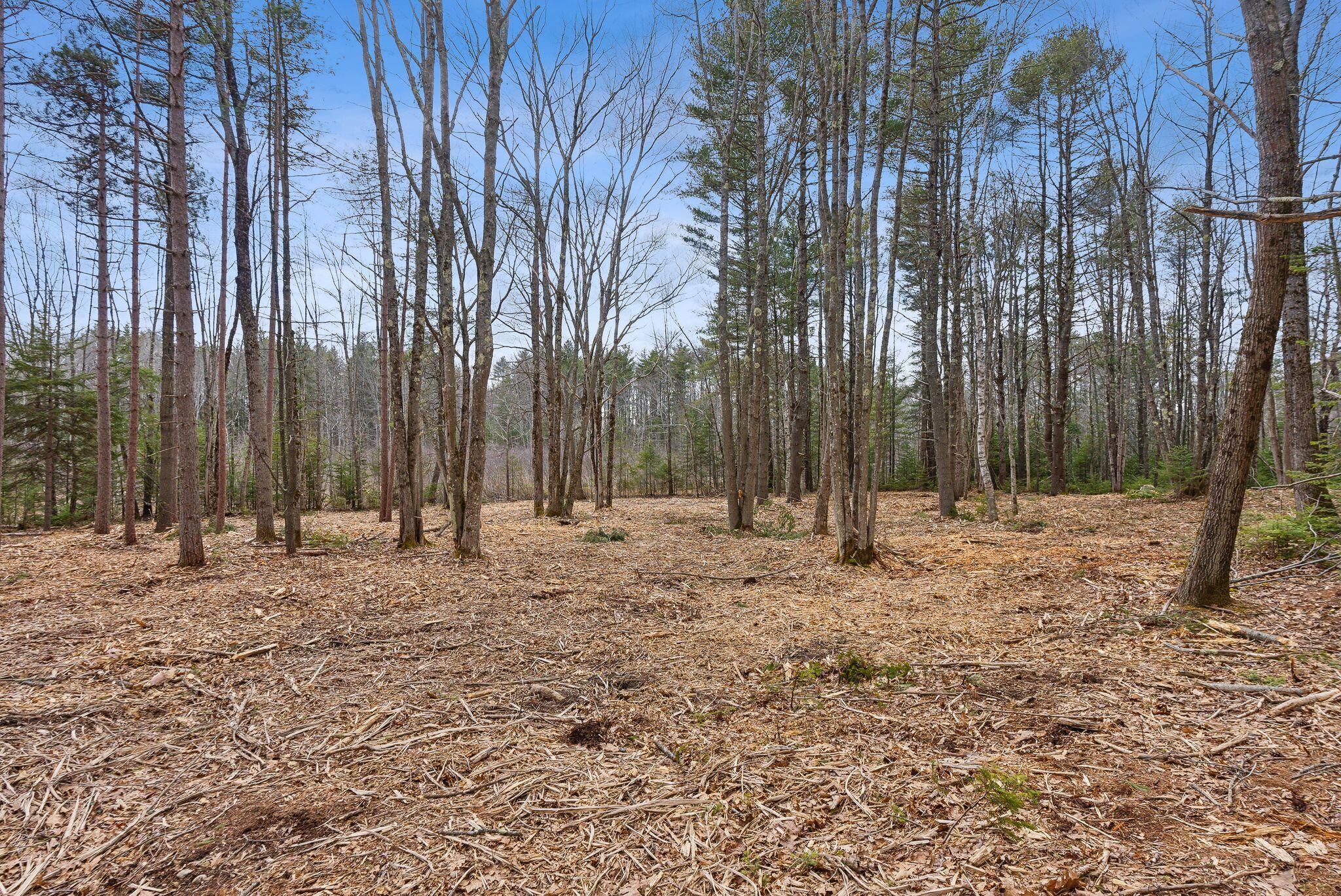 0 Arundel Road Kennebunkport, ME 04046 - Photo 6 of 9 7_DSC09132