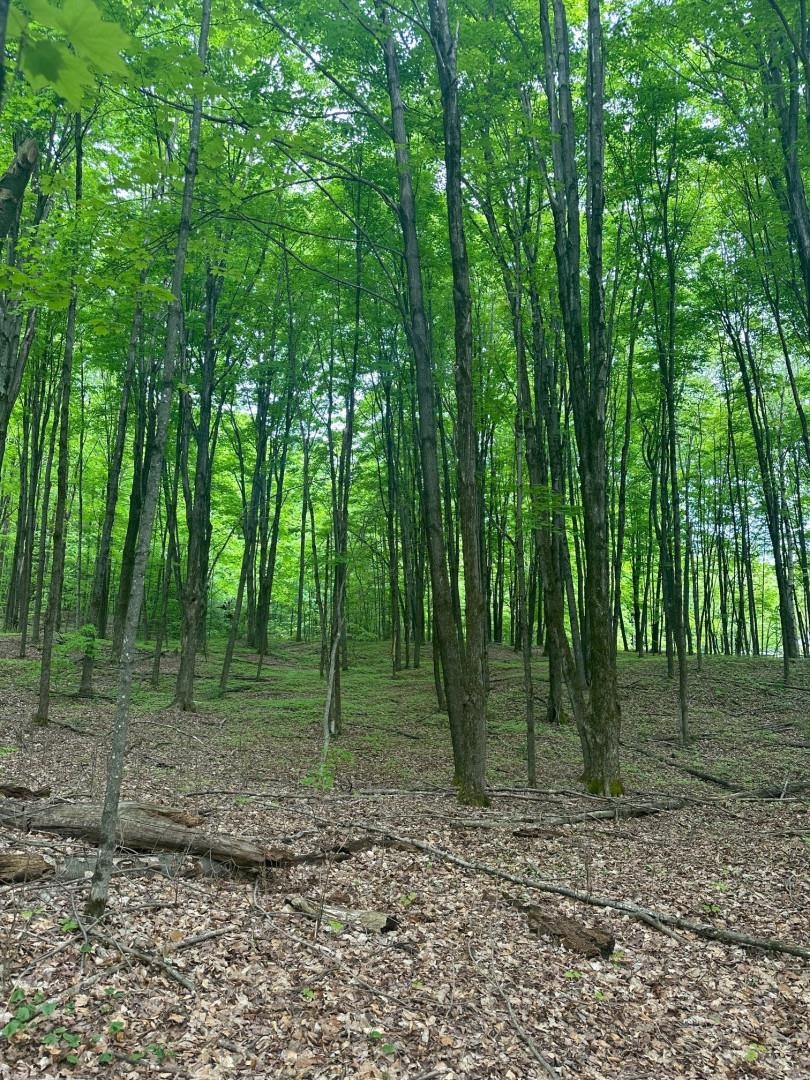 0 Observatory Road, Unit 6 Hinesburg, VT 05461 - Photo 4 of 5