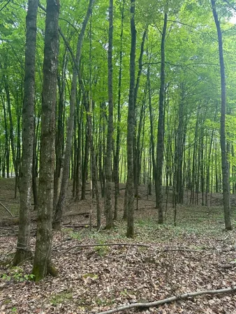 $200,000 | 0 Observatory Road, Unit 6, Hinesburg, VT 05461