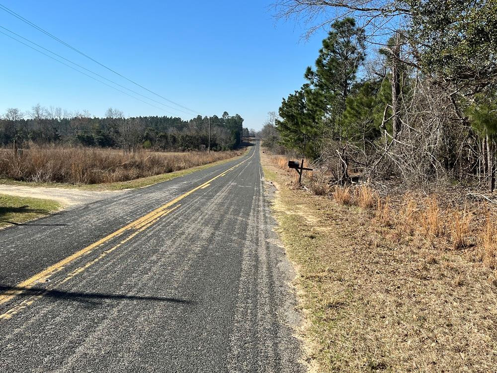 Kyzer Brown Road Springfield, SC 29146 - Photo 1 of 4 Main View