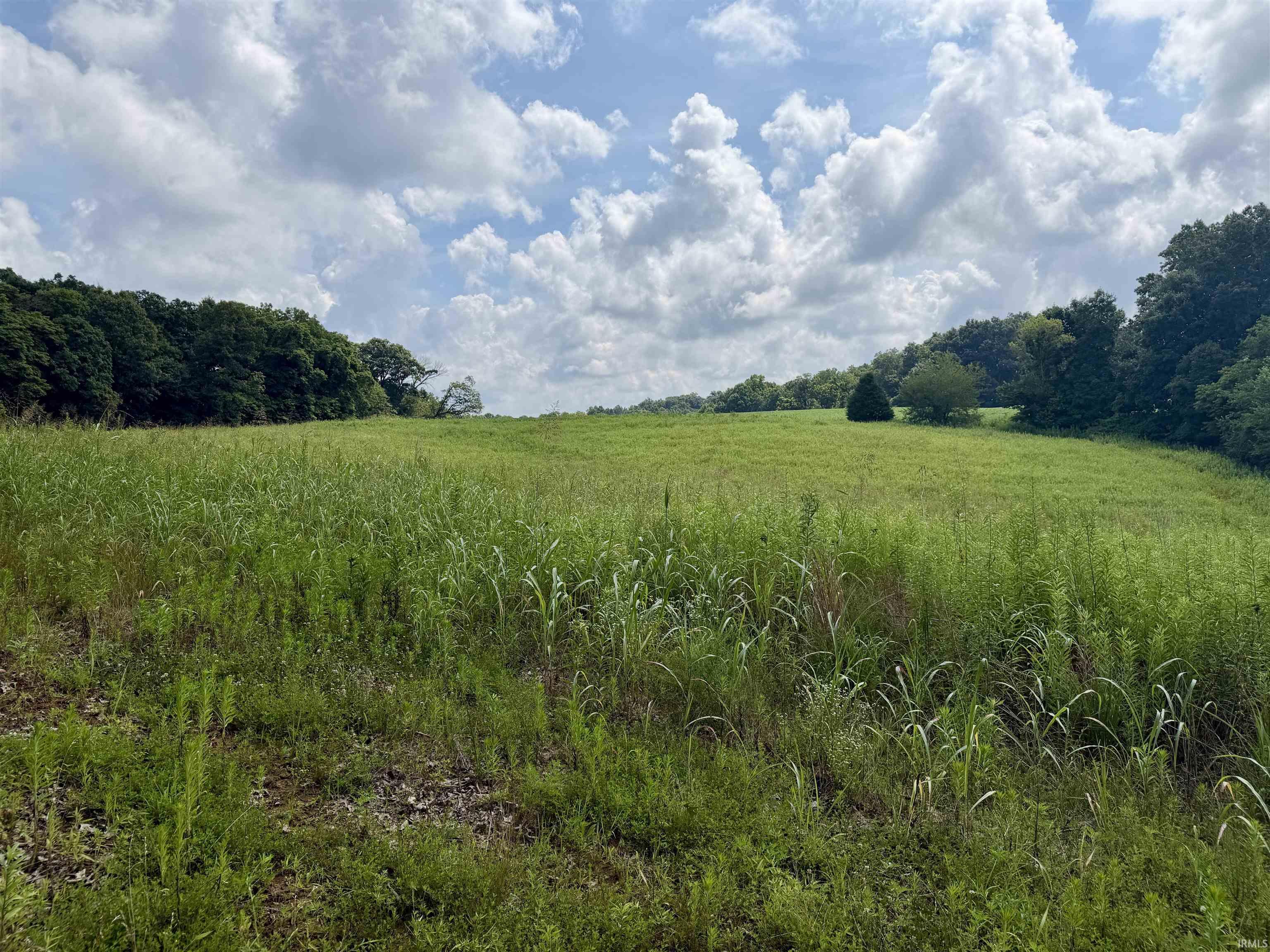 Off Candlestick Road Bristow, IN 47515 - Photo 11 of 30