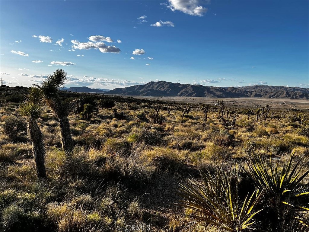 0 Powerline Road Lucerne Valley, CA 92356 - Photo 11 of 11 a view of a city