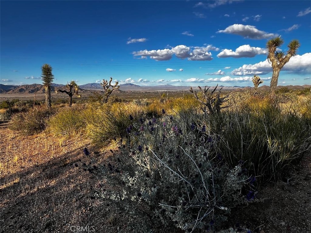 0 Powerline Road Lucerne Valley, CA 92356 - Photo 2 of 11 a view of a lake