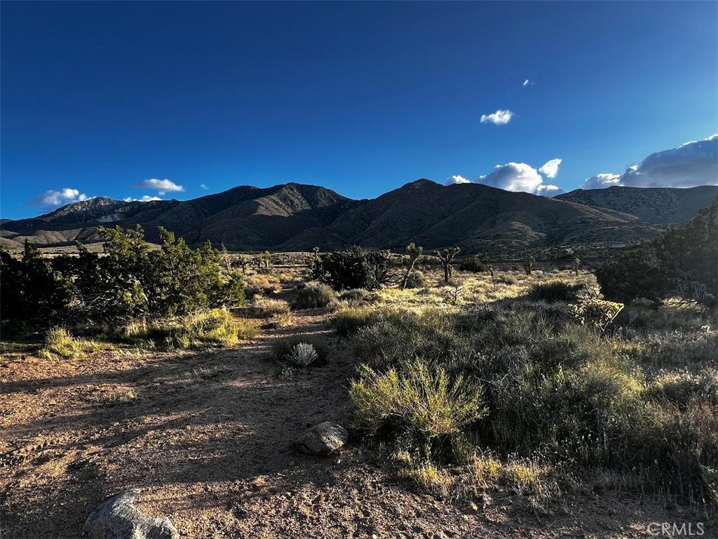 0 Powerline Road Lucerne Valley, CA 92356 - Photo 4 of 11 a view of lot of trees and city view