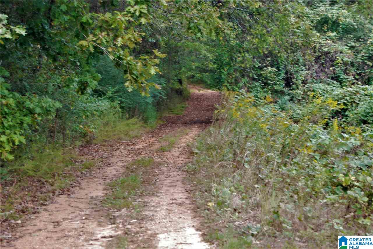 Ranch Marina Road, Unit 1 Pell City, AL 35128 - Photo 4 of 10