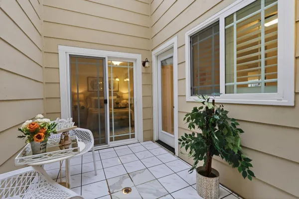 a potted plant sitting in front of a house