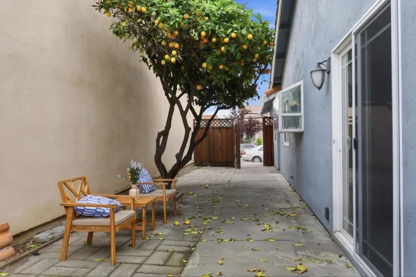 a view of a patio with table and chairs and a large tree
