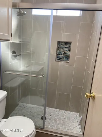 a bathroom with a shower and toilet