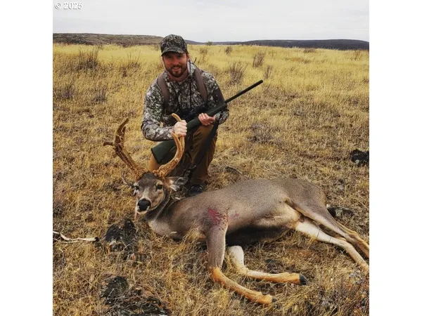 a close view of a shower in a bathroom