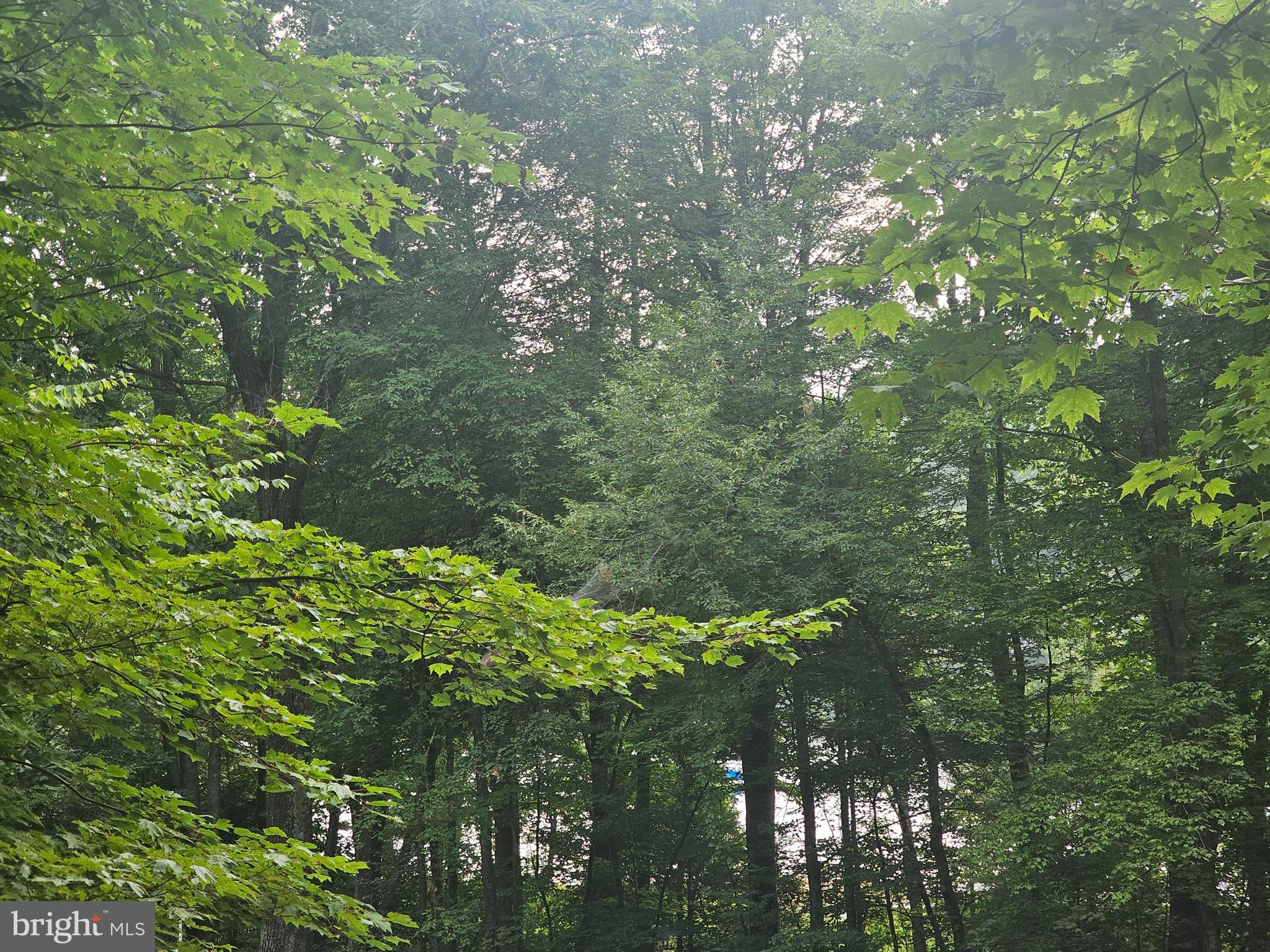 Mayhew Inn Road Oakland, MD 21550 - Photo 3 of 5 Lake Views