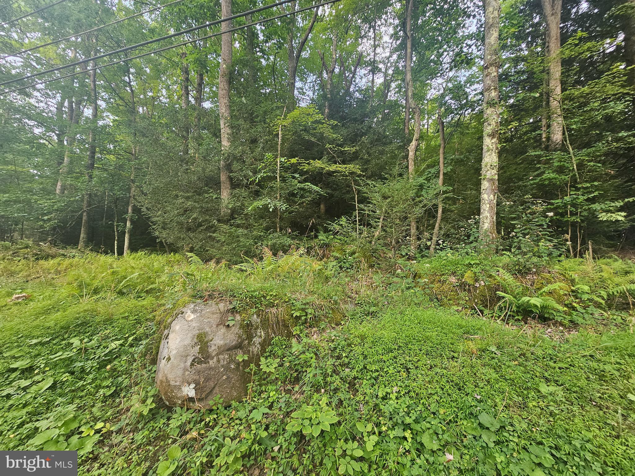 Mayhew Inn Road Oakland, MD 21550 - Photo 4 of 5