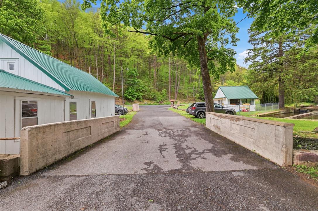 3585 Fairyland Road Lehighton, PA 18235 - Photo 8 of 57 a view of a house with backyard and trees