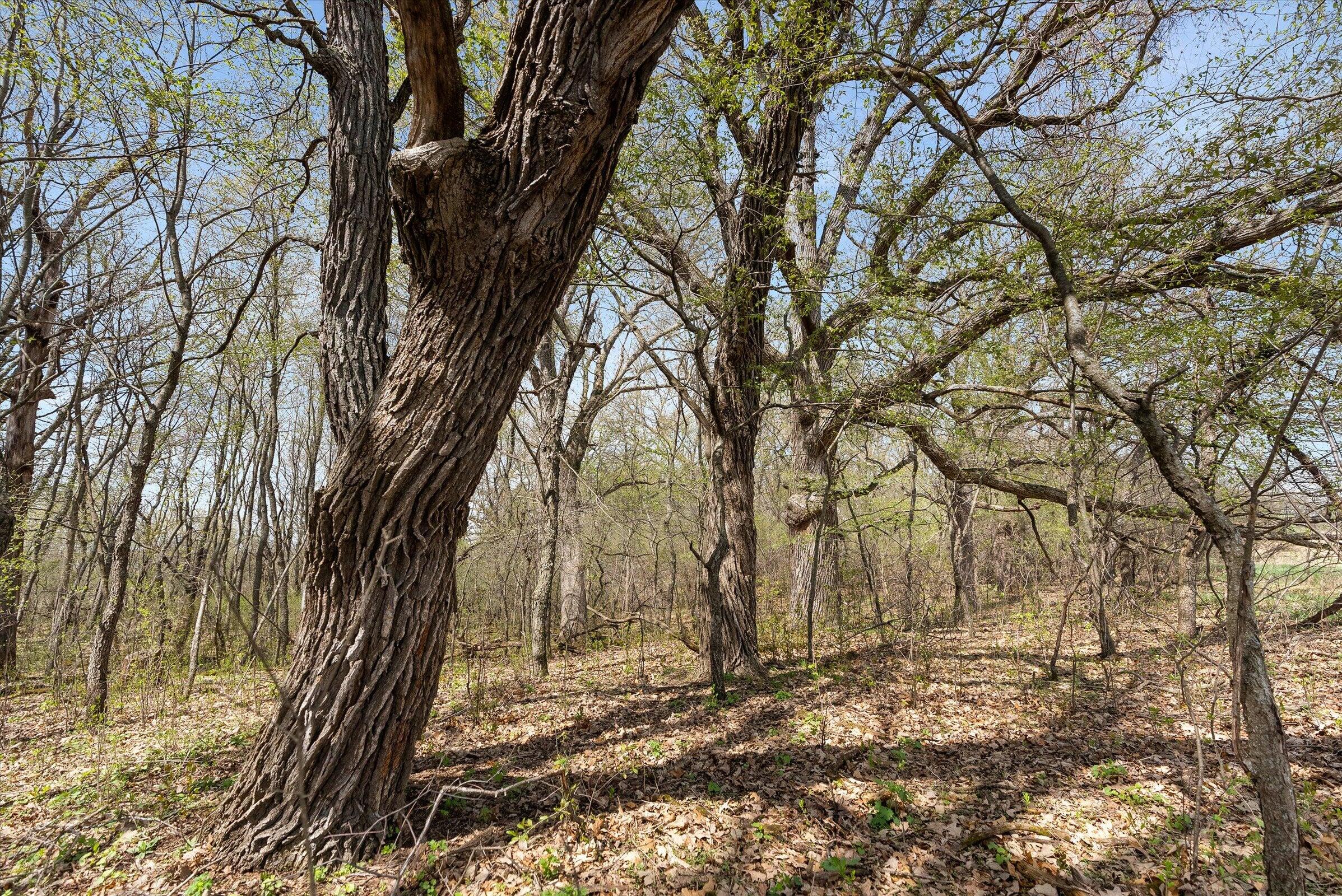 Lt1 County Road Z Ottawa, WI 53118 - Photo 11 of 13 11