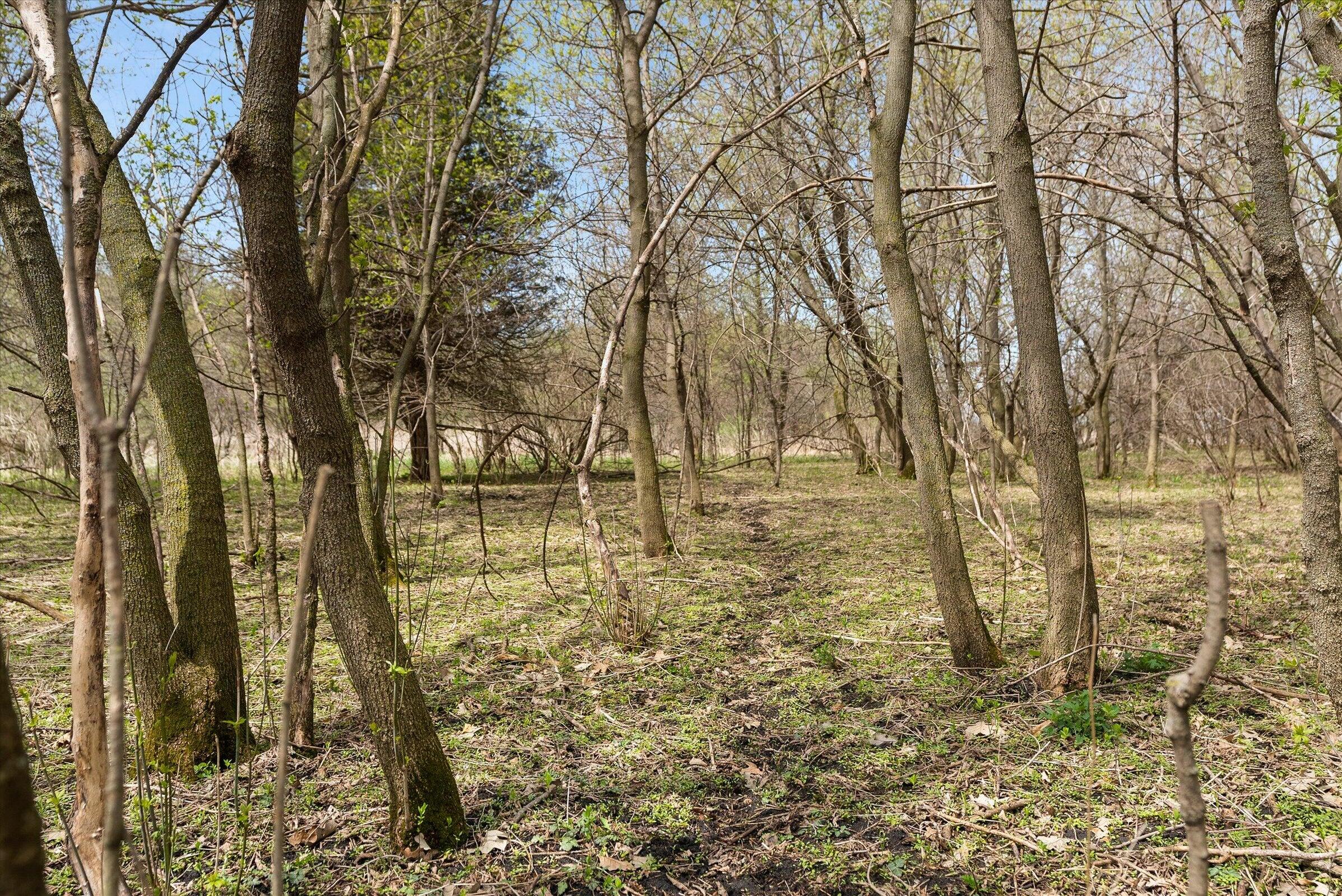 Lt1 County Road Z Ottawa, WI 53118 - Photo 12 of 13 12