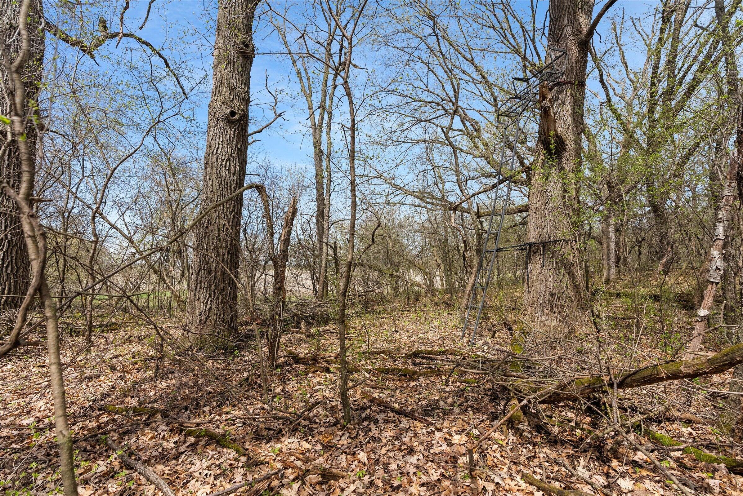 Lt1 County Road Z Ottawa, WI 53118 - Photo 13 of 13 13