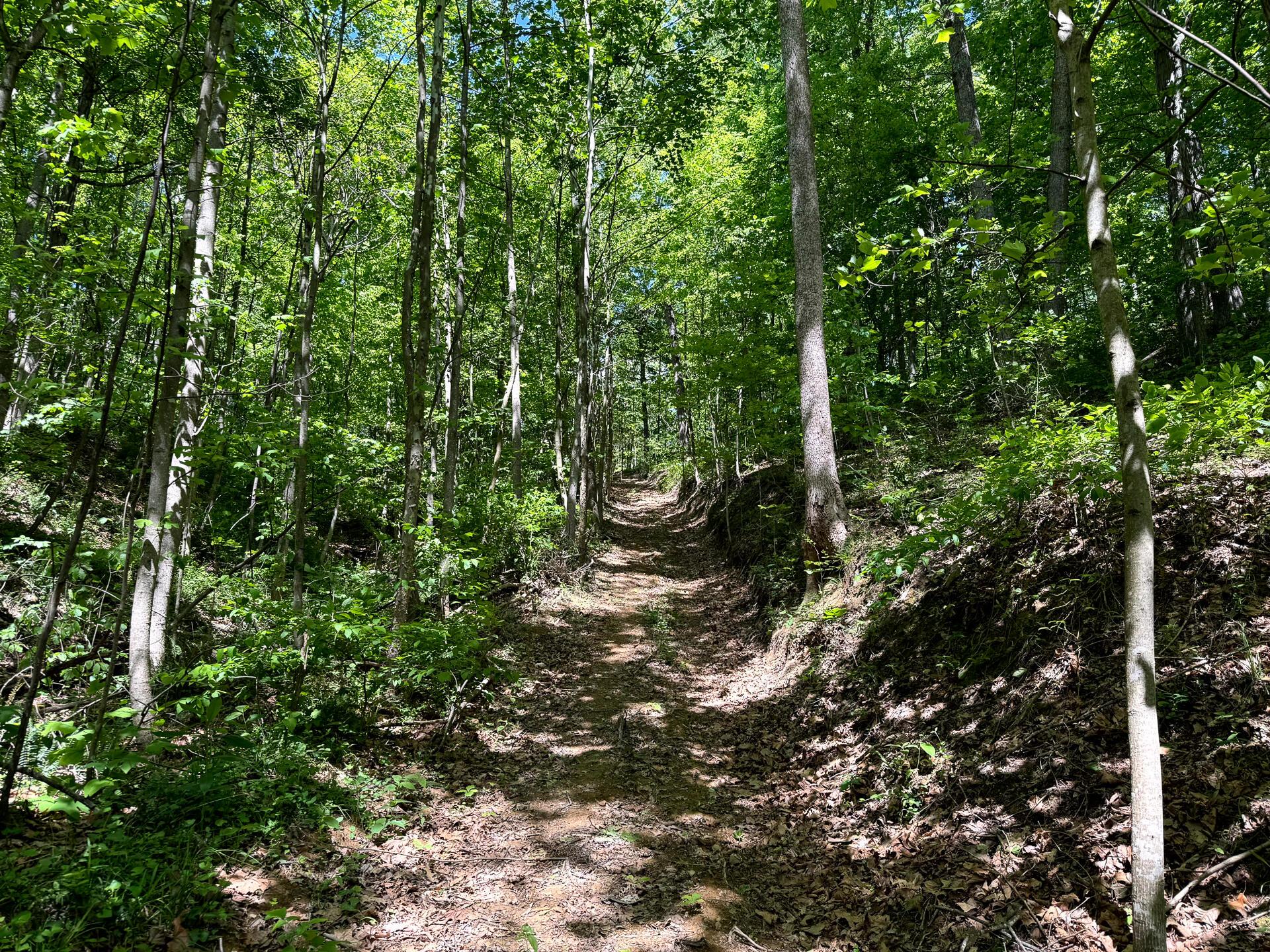 0 Little Kyger Road, Unit LITTLE KYGER TRACT 4) Cheshire, OH 45620 - Photo 24 of 28 CT-24