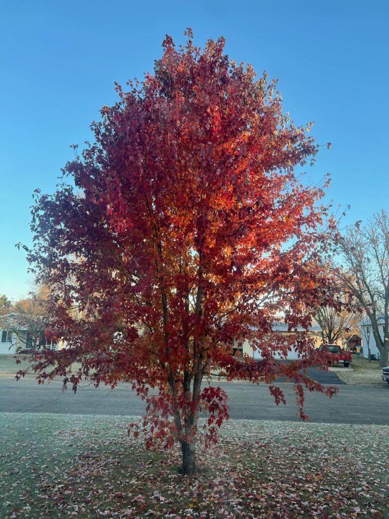 814 5 1/2 Street North Cold Spring, MN 56320 - Photo 27 of 28