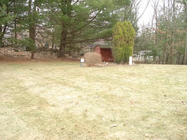 112 Spruce Road Reading, MA 01867 - Photo 17 of 17 Gallery Image 17